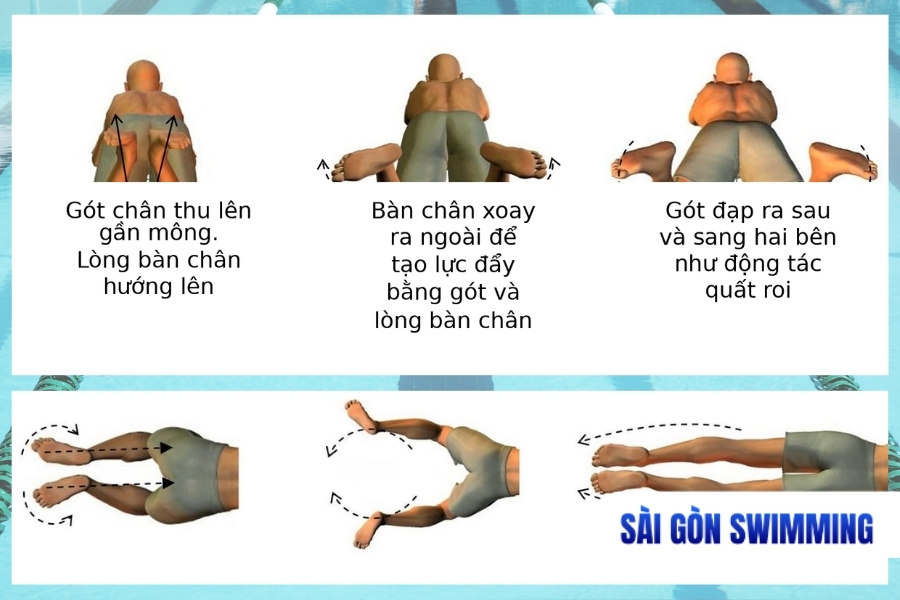 Cách đạp chân bơi ếch chuẩn kỹ thuật cơ bản